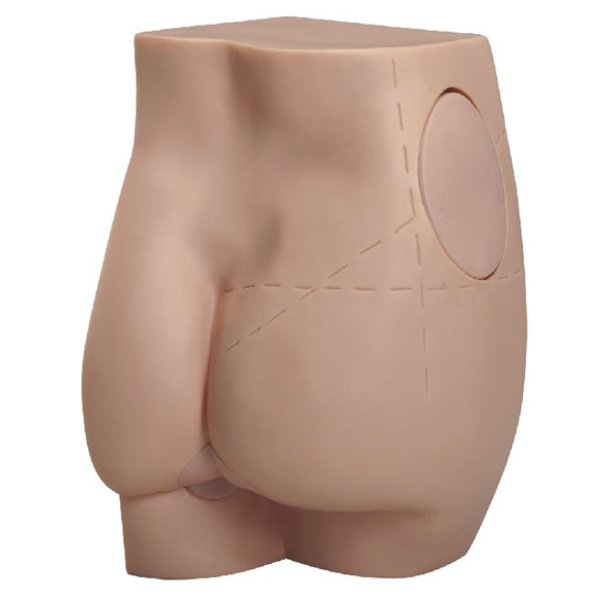 Buttocks Intramuscular Injection Model