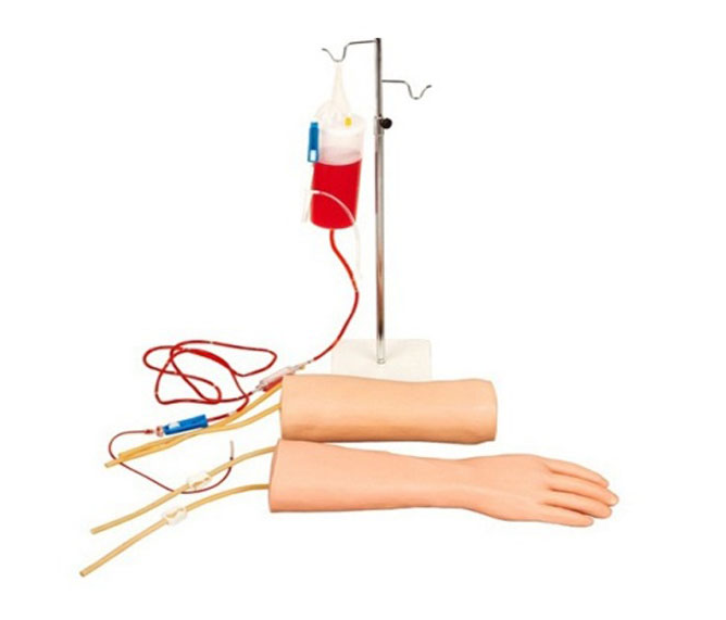  Hand and Elbow Combined Intravenous Transfusion Training Arm