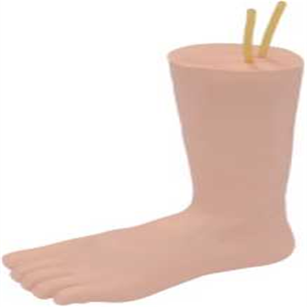 Foot Vein Injection Model