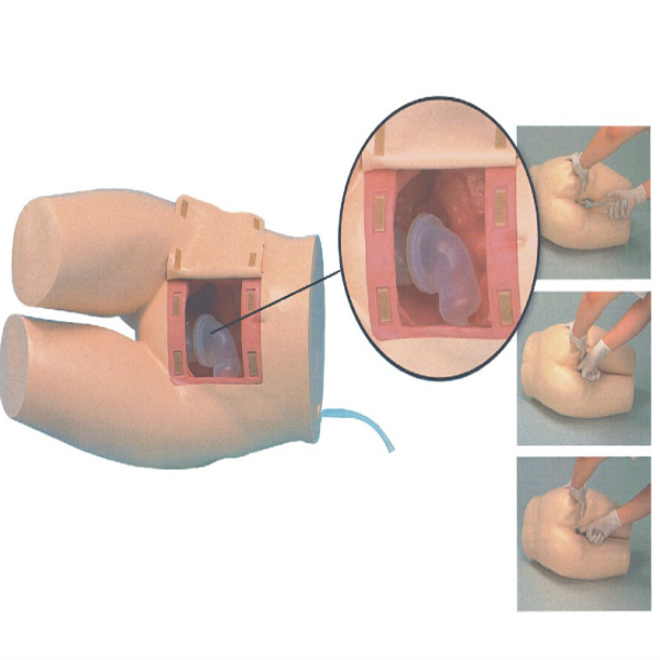 Enema and Assisted Defecation Training Model