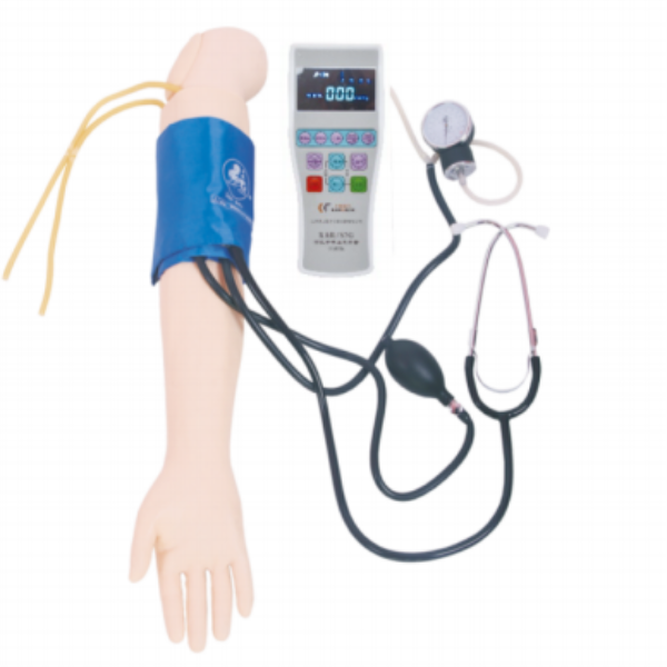 Blood Pressure Training Arm Model