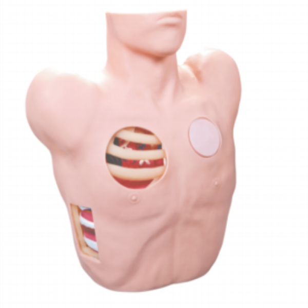 Thoracentesis Drainage Model