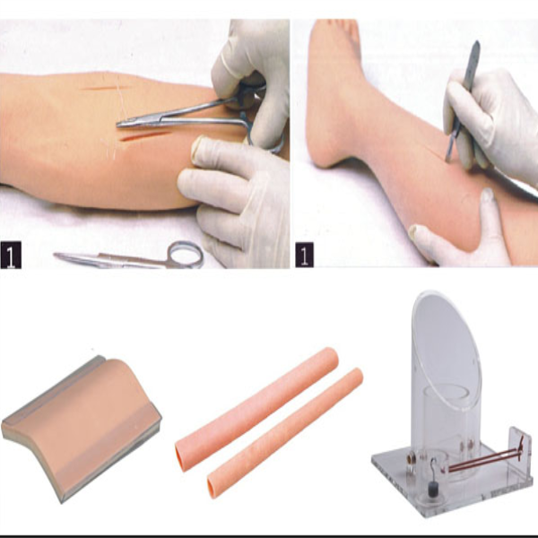 Comprehensive Surgical Skill Training Model