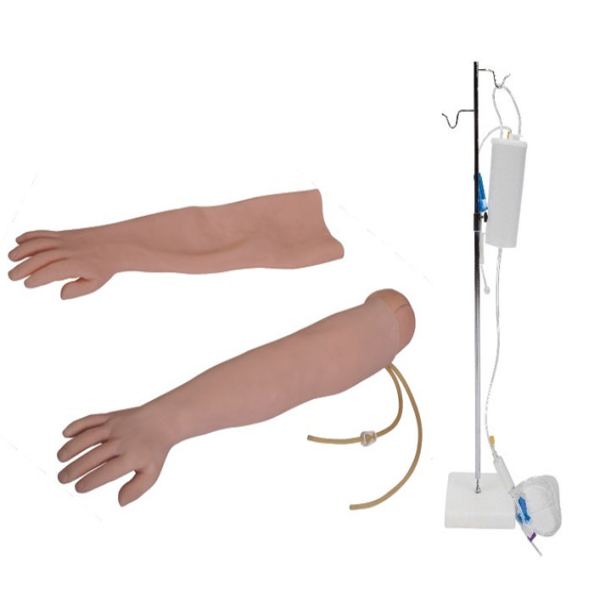 Venipuncture & Intramuscular Injection Arm Model