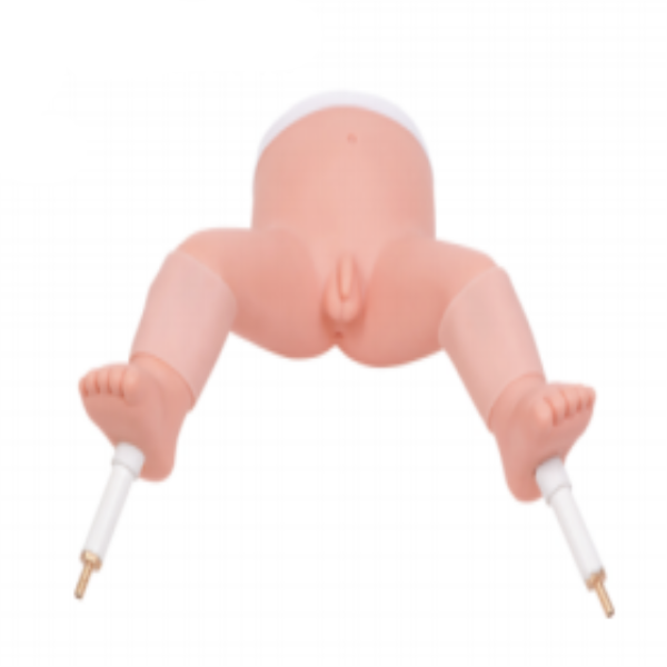 Infant Bone Marrow Puncture Model