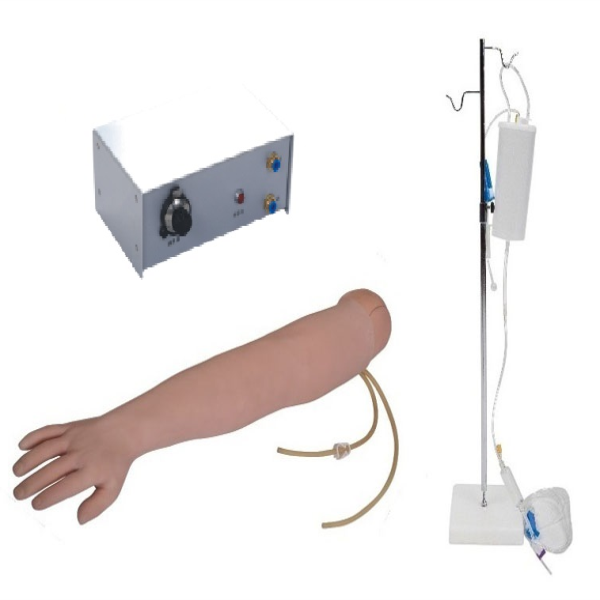 Full-functional IV Training Arm model