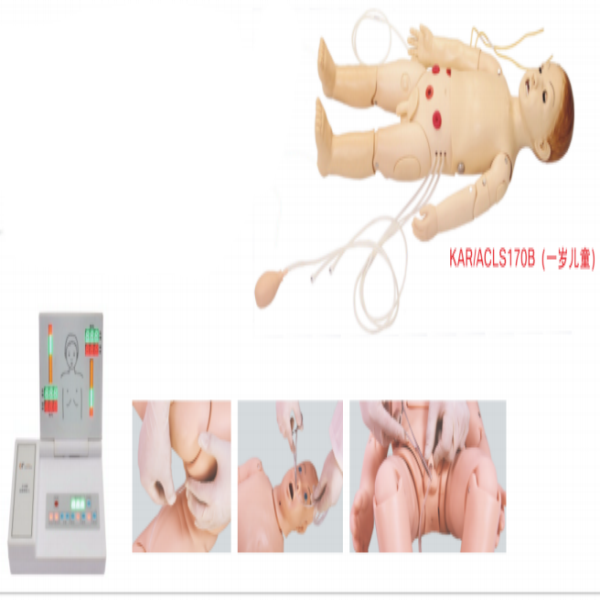 ACLS Child Training Manikin(One—year—Old)