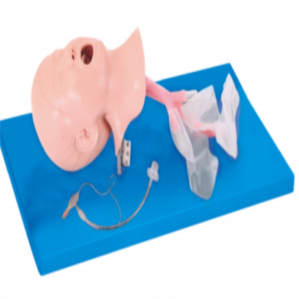 Child Trachea Intubation Model