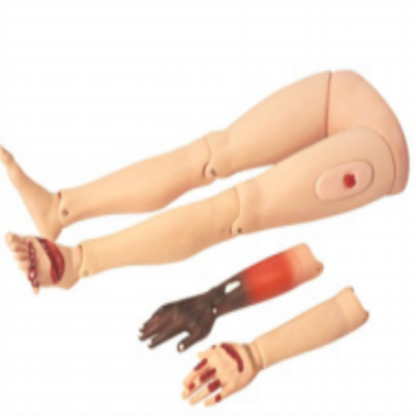 Trauma limbs model