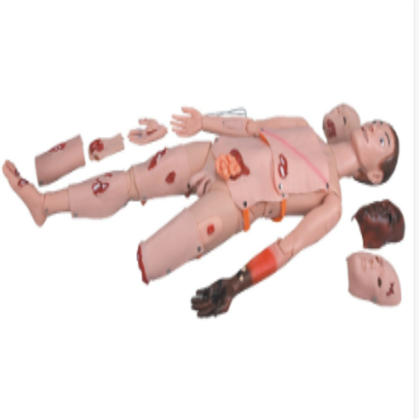 Trauma Manikin