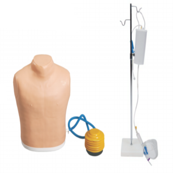 Pneumothorax Treating Model