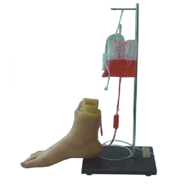 Foot Vein Injection Model