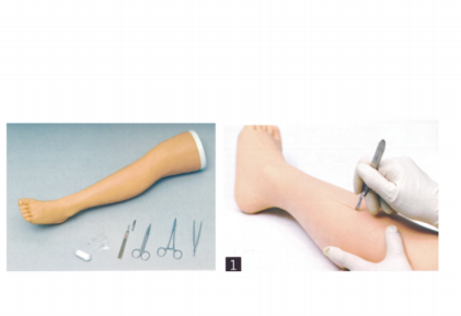 Surgical Suture Leg Model