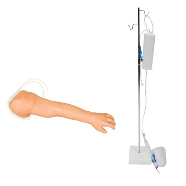 Venipuncture and Injection Training Arm Model