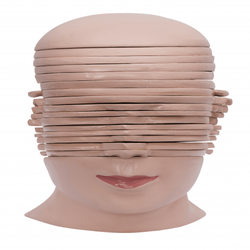 头颈部切面附脑模型（17部件）